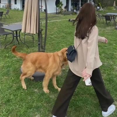 爹哋要结婚，身家冇得分