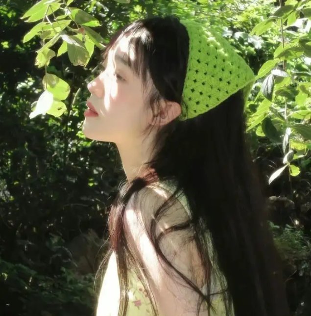 鲨海